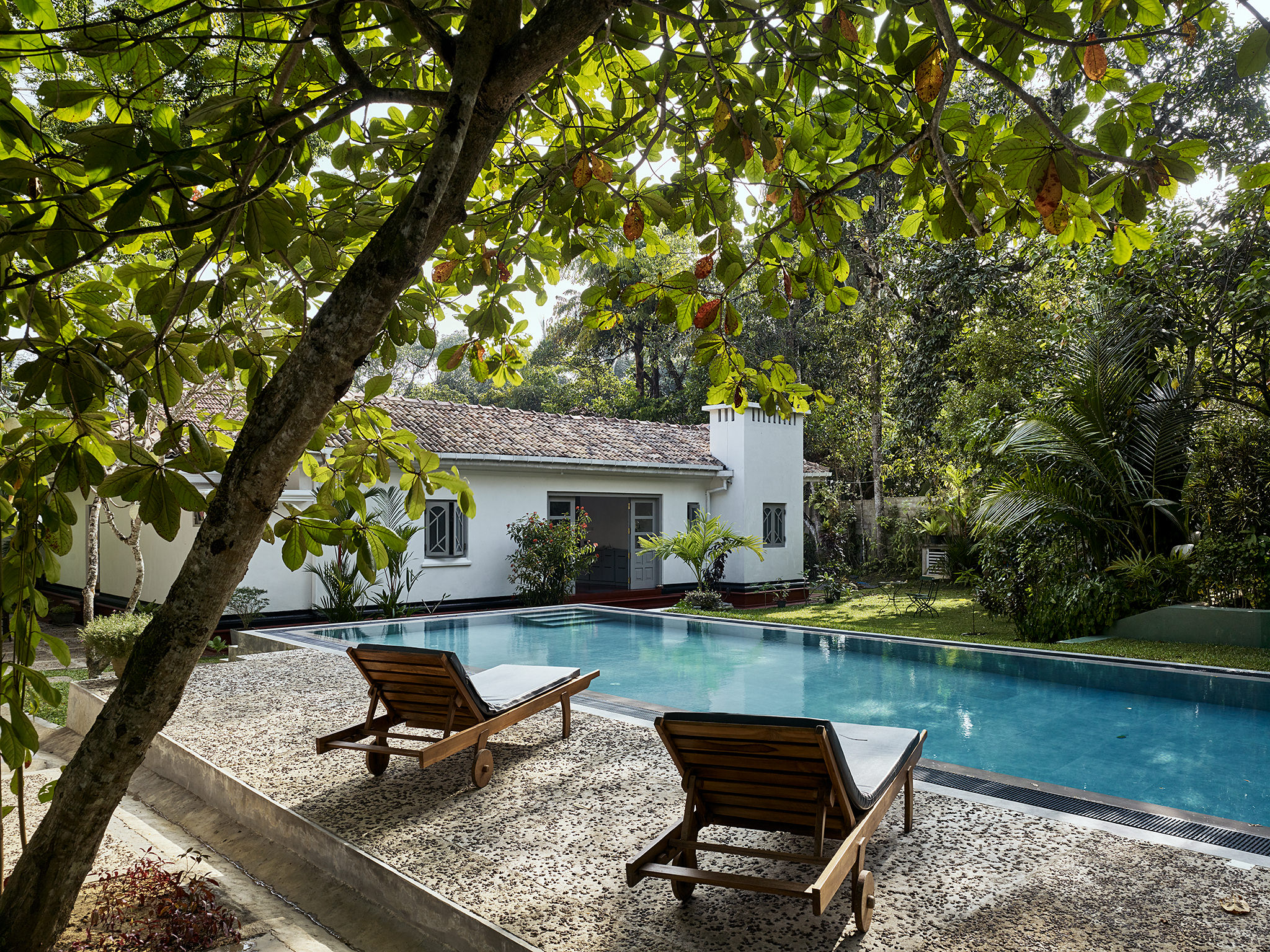 E16583 Alpa 055479 SCREEN